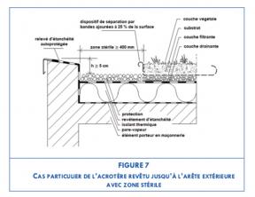 Toitures légères végétalisées